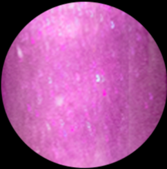 Luxury Goddess GLOSS WARE - TRANSFORMING - Lalique