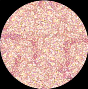 LUXURY GODDESS Diamond Liquid Lip - Swish