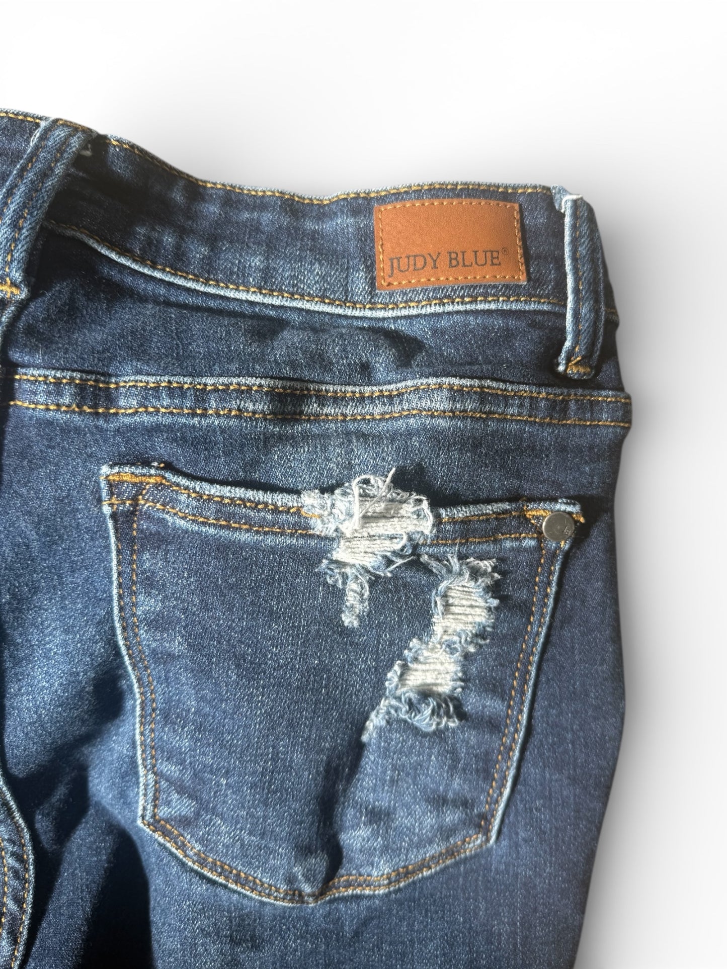 Judy Blue Skinny Jeans