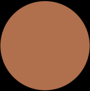 LUXURY GODDESS Cashmere Matte Foundation - N95 Cool Neutral