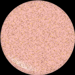 LUXURY GODDESS Lip Glaze - Peep Show